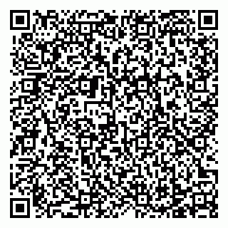 vCard 78129700313