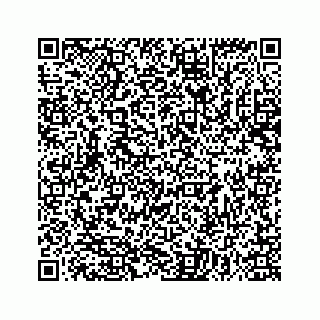vCard 78136133739