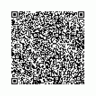 vCard 78136190381
