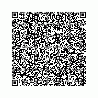 vCard 78136193881