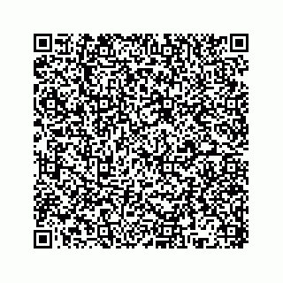 vCard 78136193980