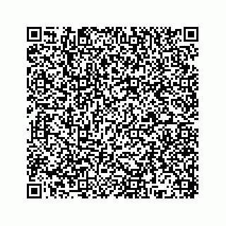 vCard 78136193984