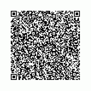 vCard 78136204100