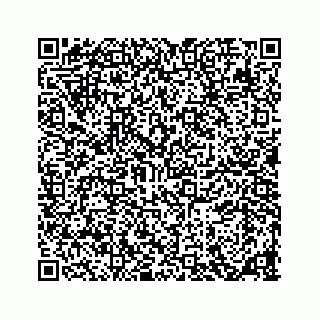 vCard 78136204352