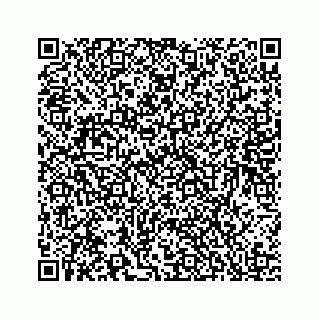 vCard 78136208063