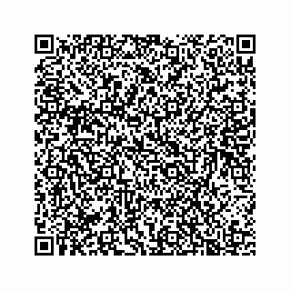 vCard 78136208187