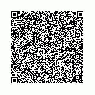 vCard 78136208233