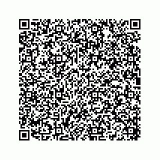 vCard 78136208481