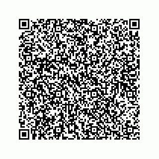 vCard 78136209073