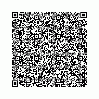 vCard 78136209111