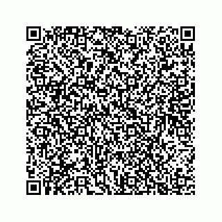 vCard 78136209503