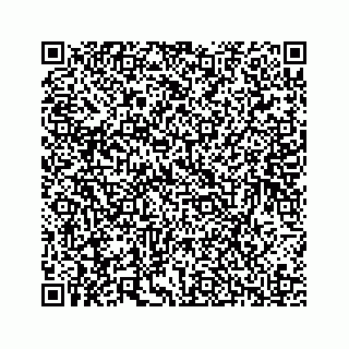 vCard 78136209771