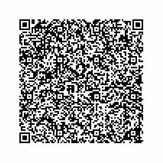 vCard 78136209802