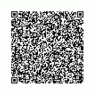 vCard 78136233100