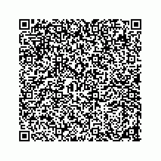 vCard 78136233131