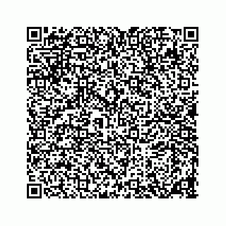 vCard 78136233141