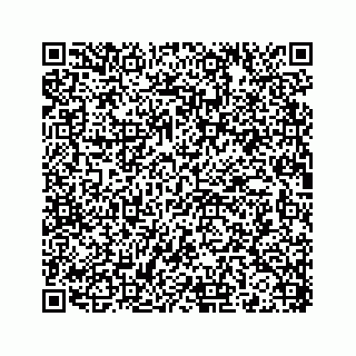 vCard 78136233201