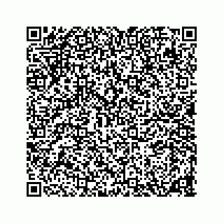 vCard 78136240100