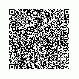 vCard 78136240256
