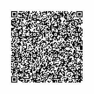 vCard 78136240280