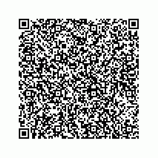 vCard 78136240380