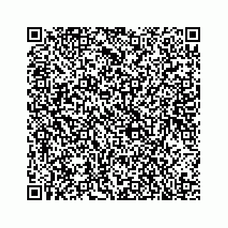 vCard 78136240384