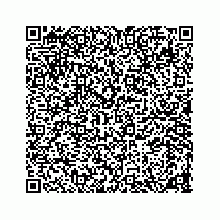 vCard 78136240385