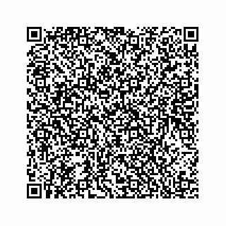 vCard 78136278740