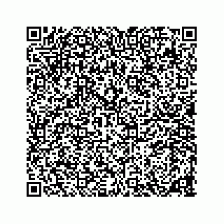 vCard 78136278799