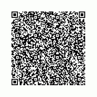 vCard 78136278933
