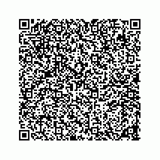 vCard 78136278980