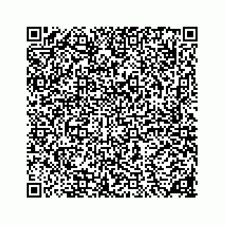 vCard 78136290200