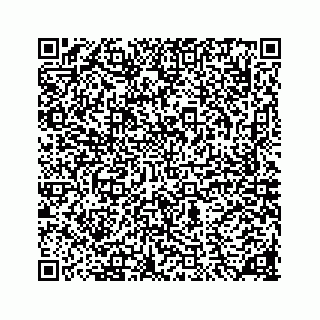 vCard 78136290210
