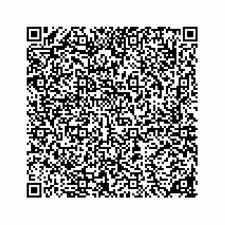 vCard 78136290240