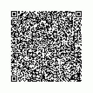 vCard 78136290265