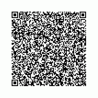 vCard 78136290280