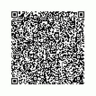 vCard 78136290303