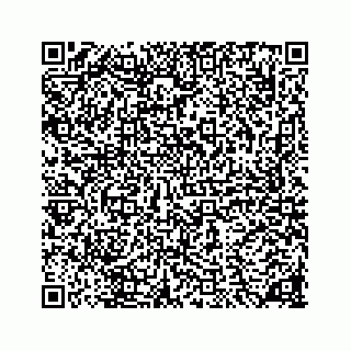 vCard 78136290382