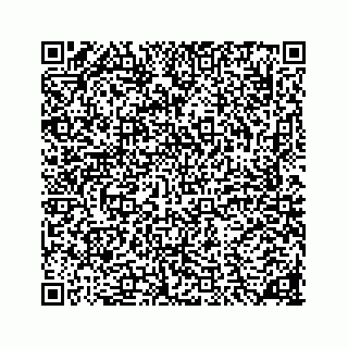 vCard 78136290384
