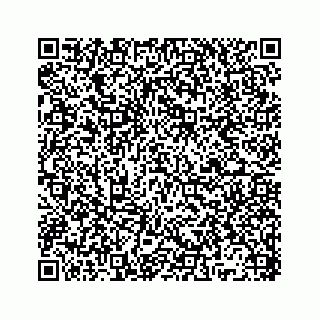 vCard 78136329103