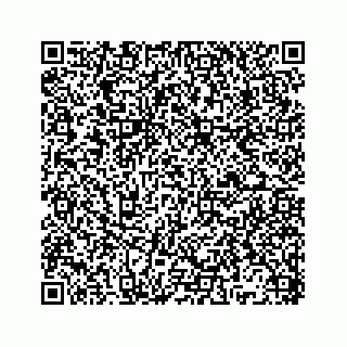 vCard 78136329333