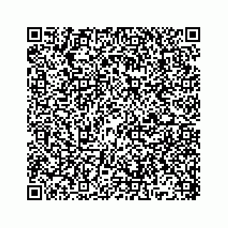 vCard 78136329371