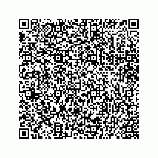 vCard 78136329379