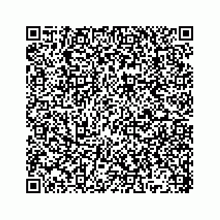 vCard 78136329381