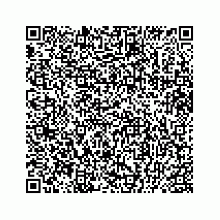 vCard 78136329387