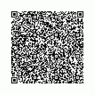 vCard 78136329398