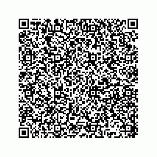 vCard 78136329408