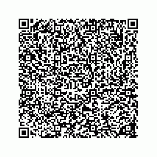 vCard 78136333017