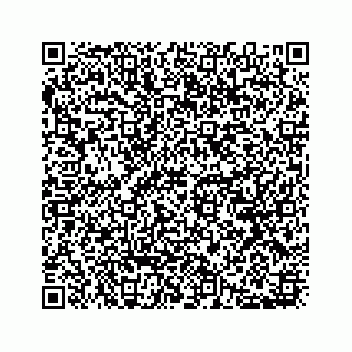 vCard 78136333041