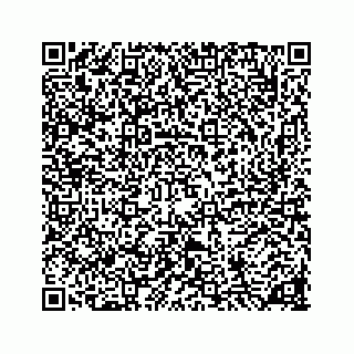 vCard 78136333047